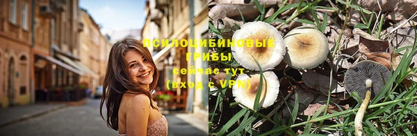 мяу мяу мука Кулебаки