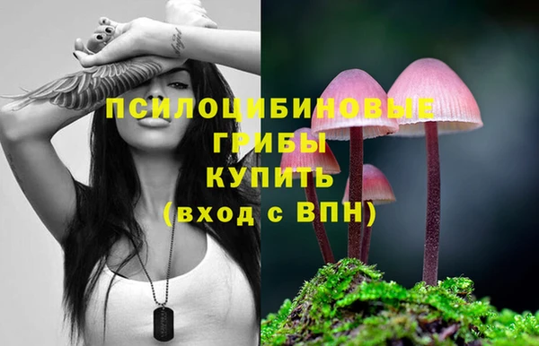 мяу мяу мука Кулебаки
