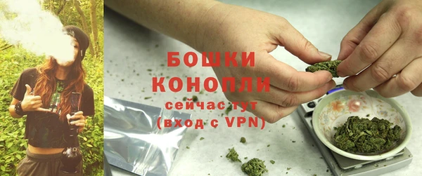 мяу мяу мука Кулебаки